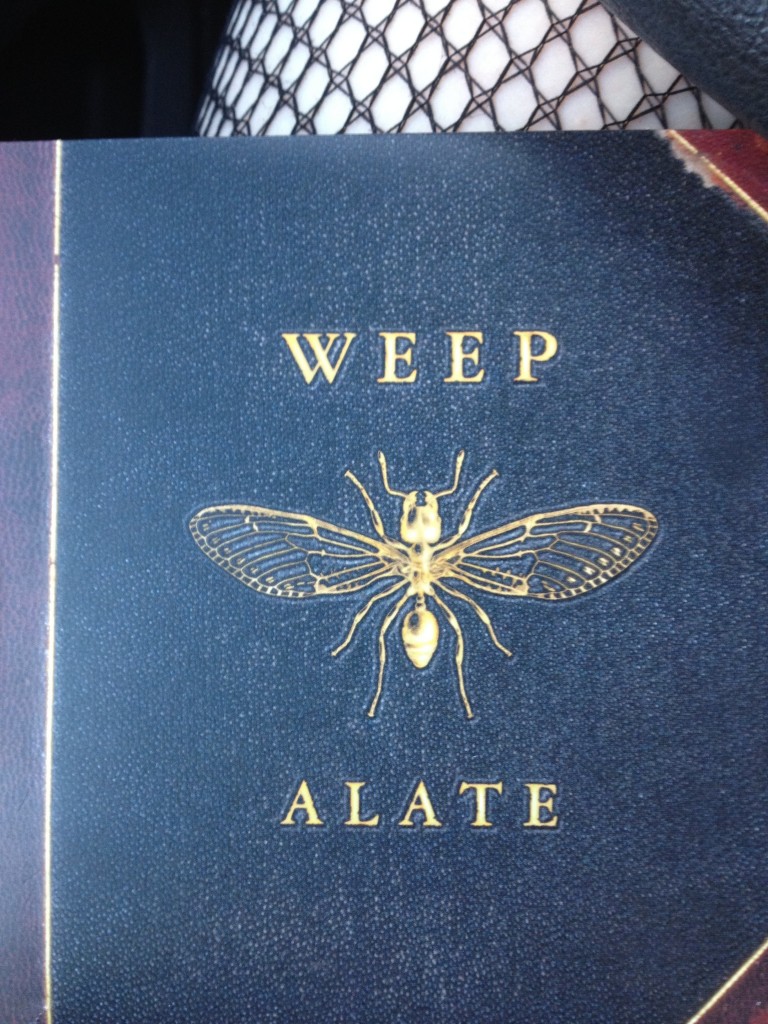 Weep in the Car