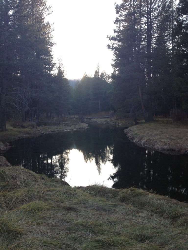 donner park